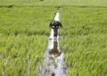Income tax rate on agricultural income made equal to that of the corporate sector