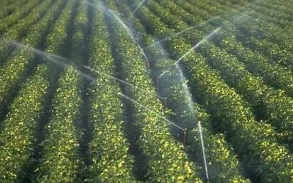 Agriculture, technology and energy sectors should be prioritized, experts say