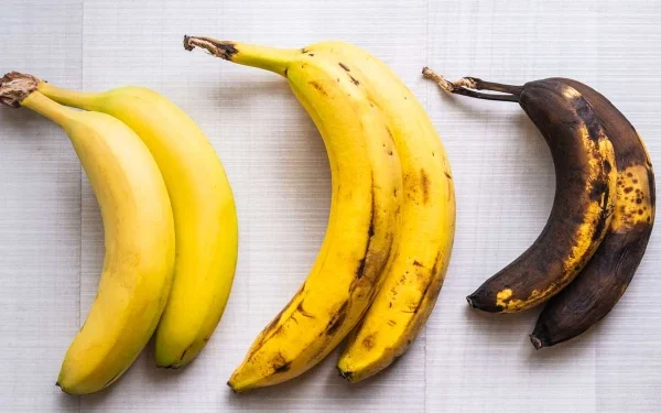 Scientists have created a banana that does not rot or spoil after being peeled.
