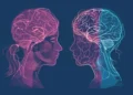 How much do male and female brains differ?