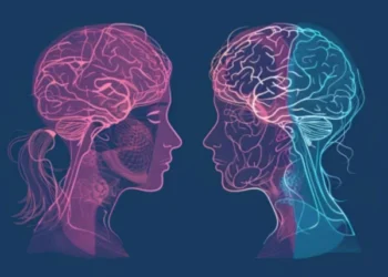 How much do male and female brains differ?