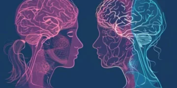 How much do male and female brains differ?