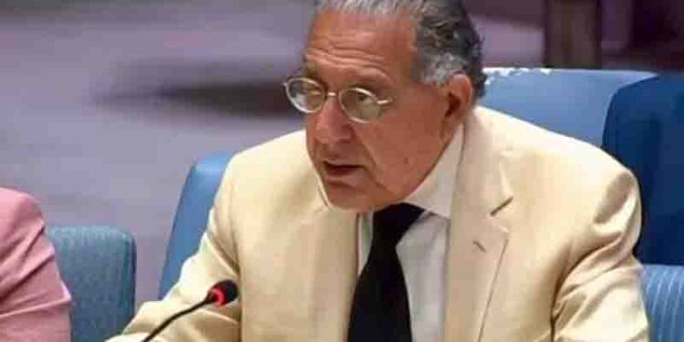 Permanent ceasefire in Gaza will bring stability to the region, Pakistani delegate