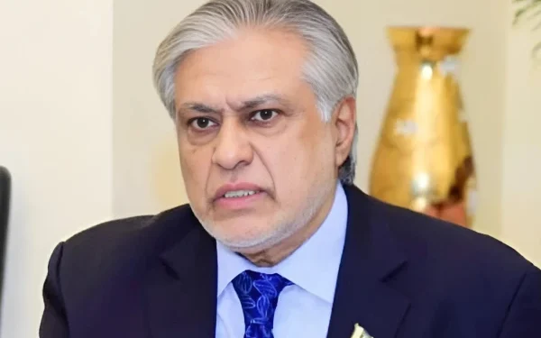 OIC meeting: Pakistan stands with Palestine and supports Arab League decision, Ishaq Dar