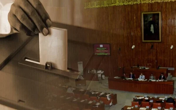 PTI responsible for lack of Senate elections in KP, not implementing Article 6, Law Minister