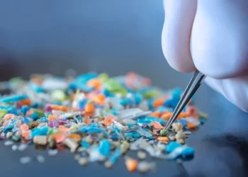 Microplastic pollution is increasing bacterial resistance: Study