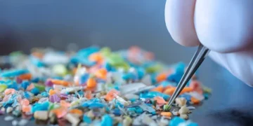 Microplastic pollution is increasing bacterial resistance: Study