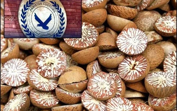 Pakistan Customs Declares Plant Protection Department's Lab Report Invalid, Stops Clearance of Sorghum Containers