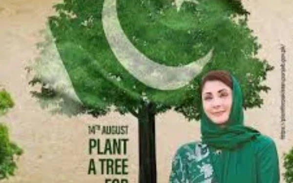 Large-scale tree plantation campaign begins in Punjab under Chief Minister Plant for Pakistan campaign