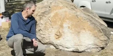 Dinosaur Footprints Discovered in Australian School: A Groundbreaking Paleontological Find