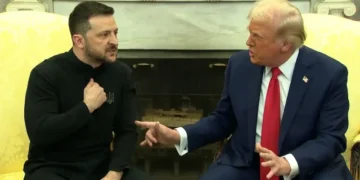 Donald Trump, Ukrainian President Zelensky likely to meet again next week