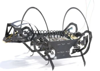 Microbot That Jumps Like Insects: Harvard Engineers Develop Insect-Inspired Robot for Rough Terrain