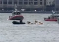 Tragic Helicopter Crash in New York's Hudson River Claims Six Lives, Including Tourists from Spain