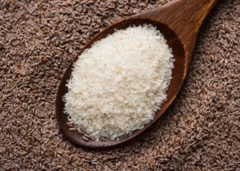 Make Asparagus a Must in Your Diet This Summer: A Natural Superfood for Health and Hydration