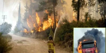 Massive Forest Fires Erupt Across Central Israel: Emergency Measures Enforced in Jerusalem and Tel Aviv Regions