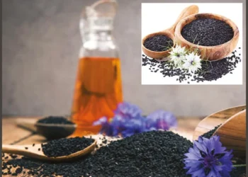 Kalonji: The Natural Powerhouse for Disease Prevention and Overall Wellness