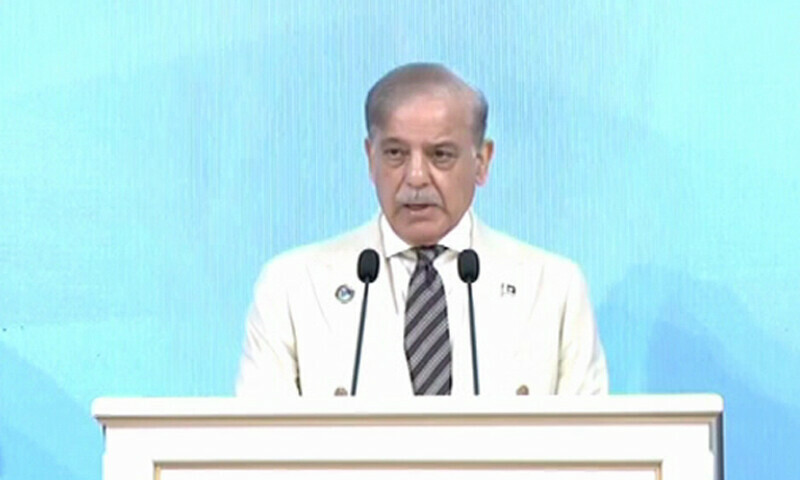 Prime Minister Shehbaz Sharif Condemns India's Suspension of Indus Waters Treaty, Emphasizes Climate and Water Security