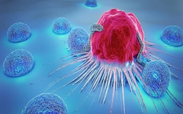 New Breast Cancer Drug Shows Promising Results in Groundbreaking Study