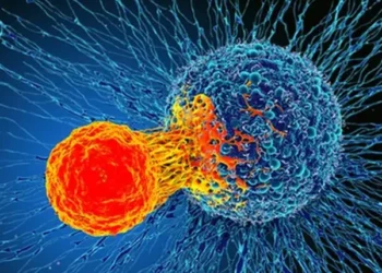 Breakthrough Blood Test Detects Cancer Years Before Symptoms Appear