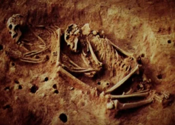 Discovery of 6,000-Year-Old Human Skeleton in Colombia with Rare DNA May Rewrite Human History