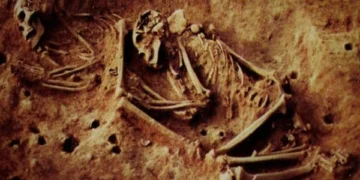 Discovery of 6,000-Year-Old Human Skeleton in Colombia with Rare DNA May Rewrite Human History