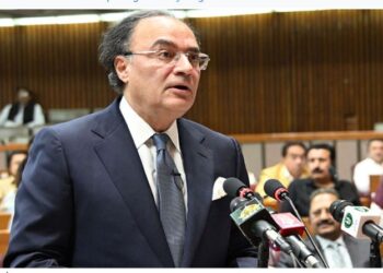 Budget 2025-26: Govt aims for 4.2pc growth while trimming expenditure