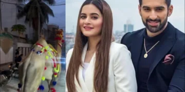 Muneeb Butt’s Sacrificial Camel Escapes: Actor’s Special Appeal to Fans Goes Viral