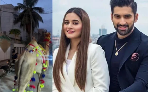 Muneeb Butt’s Sacrificial Camel Escapes: Actor’s Special Appeal to Fans Goes Viral