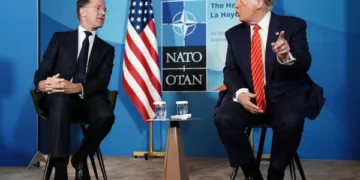 Why Did You Call Trump 'Daddy'? NATO Chief Mark Rutte Responds to Controversial Remark