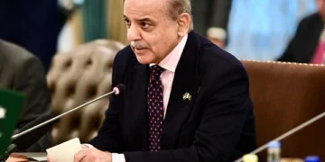 PM Shehbaz Sharif: Economic Self-Reliance Hinges on Cheap Electricity and Agricultural Growth