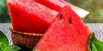 Why Should Diabetics Avoid Watermelon? Understanding the Impact of This Sweet Fruit on Blood Sugar Levels