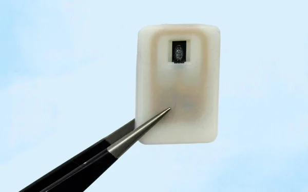 MIT Engineers Develop Lifesaving Device to Protect Diabetic Patients from Hypoglycemia