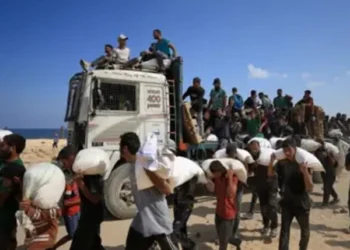 Israeli Army Kills 67 Palestinians Waiting for Food Aid in Northern Gaza