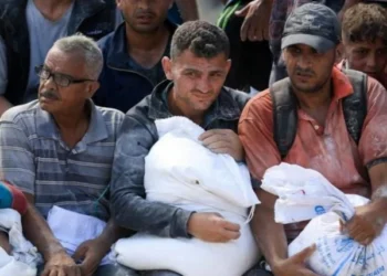 Britain and 27 Nations Strongly Condemn Israeli Fire on Starving Palestinians Awaiting Aid in Gaza