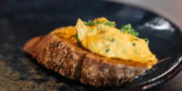 How Harmful Can Eating Too Much Meat Be? An In-Depth Look at Protein-Rich Diets and Cardiovascular Risks