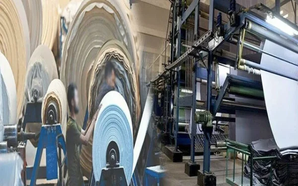 Production of Major Industries in Pakistan Declines by 1.21% from July to May FY 2024–25