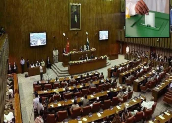 Senate Elections 2025: PTI's Priority List Sparks Backlash from Ideological Workers