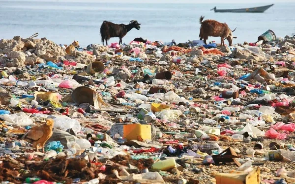 Pollution, Plastic Exposure, and Poor Diet: Alarming Causes of Rising Cancer Cases in Youth