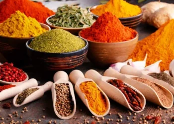 Turmeric’s Hidden Power: Daily Use May Help Prevent Bowel Cancer, Scientists Reveal