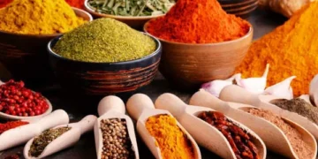 Turmeric’s Hidden Power: Daily Use May Help Prevent Bowel Cancer, Scientists Reveal