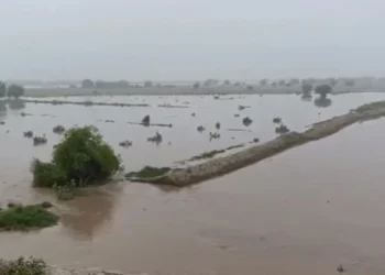 Chichawatni Braces for Extremely High Flood in Ravi River as Water Enters Nearby Settlements