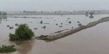 Chichawatni Braces for Extremely High Flood in Ravi River as Water Enters Nearby Settlements