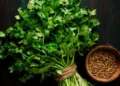 Coriander: A Natural Remedy for Inflammation, Anxiety, and Diabetes
