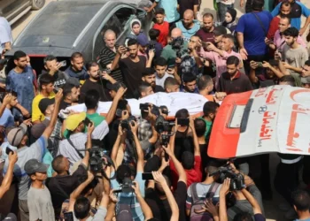 Pakistan and Global Community Condemn Israel for Killing Five Journalists in Gaza