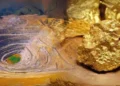 Pakistan Secures $5 Billion Foreign Investment Offer for Reko Diq Copper-Gold Project