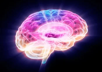 Protein Discovery May Hold Key to Slowing – and Reversing – Brain Aging