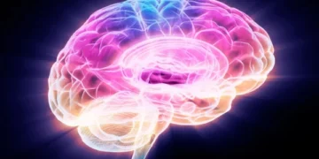 Protein Discovery May Hold Key to Slowing – and Reversing – Brain Aging