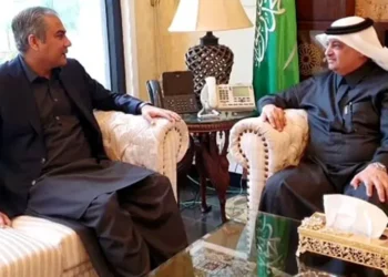 Interior Minister Mohsin Naqvi Meets Saudi Ambassador, Expresses Gratitude for Kingdom’s Role in Pak-India Tensions