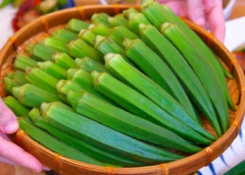 Why You Must Include Okra in Your Daily Diet: Discover Its Incredible Health Benefits