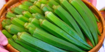 Why You Must Include Okra in Your Daily Diet: Discover Its Incredible Health Benefits